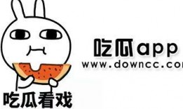 吃瓜合集网红是谁呀,网络红人的崛起与影响力